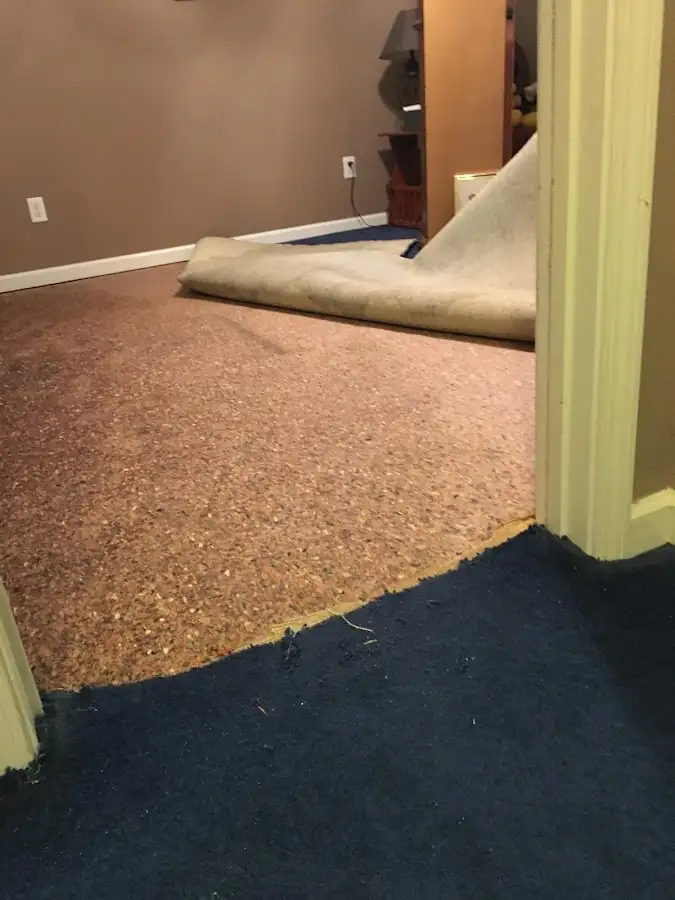 Carpet pad removal revealing water damage during Drying & Dehumidification in Beverly Hills