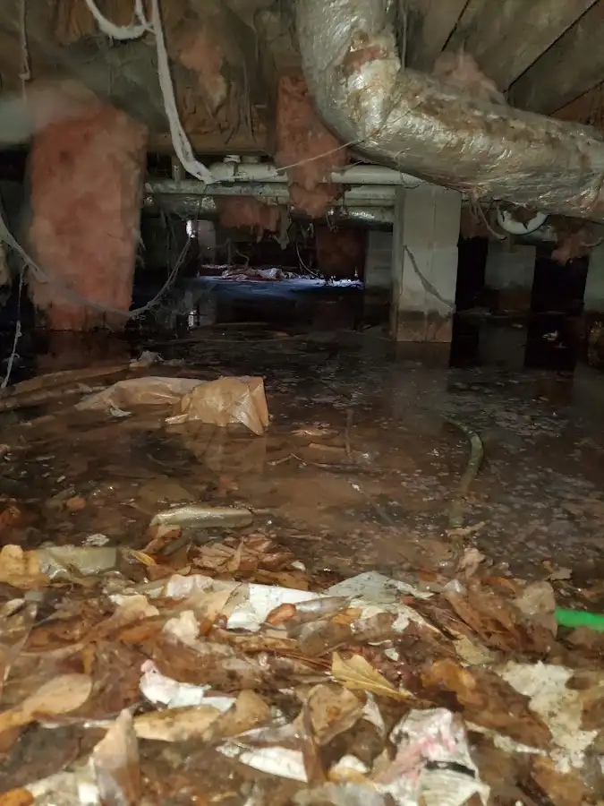 Crawl space flood assessment for Leak Detection & Repair in Beverly Hills